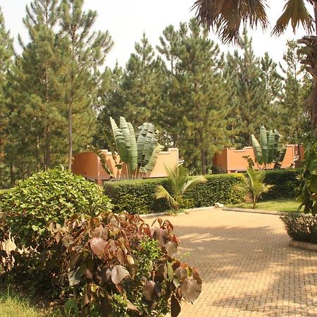 Saltek Forest Cottages Masindi ภายนอก รูปภาพ