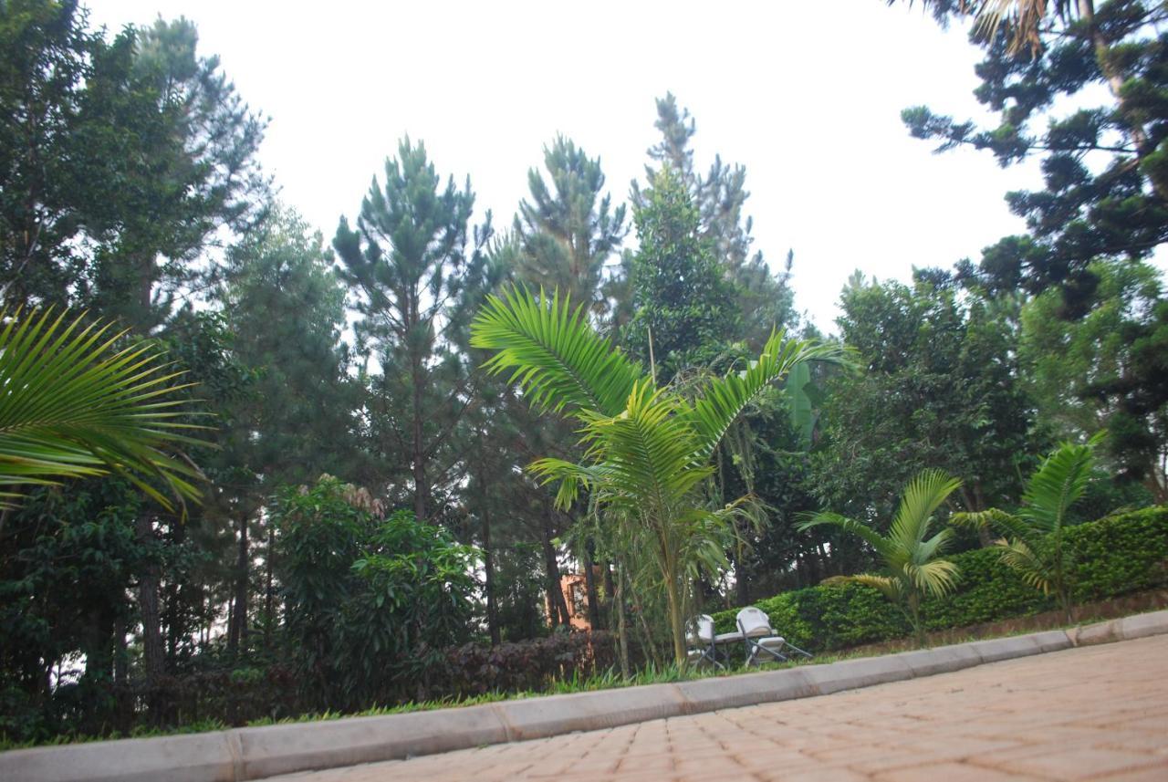 Saltek Forest Cottages Masindi ภายนอก รูปภาพ