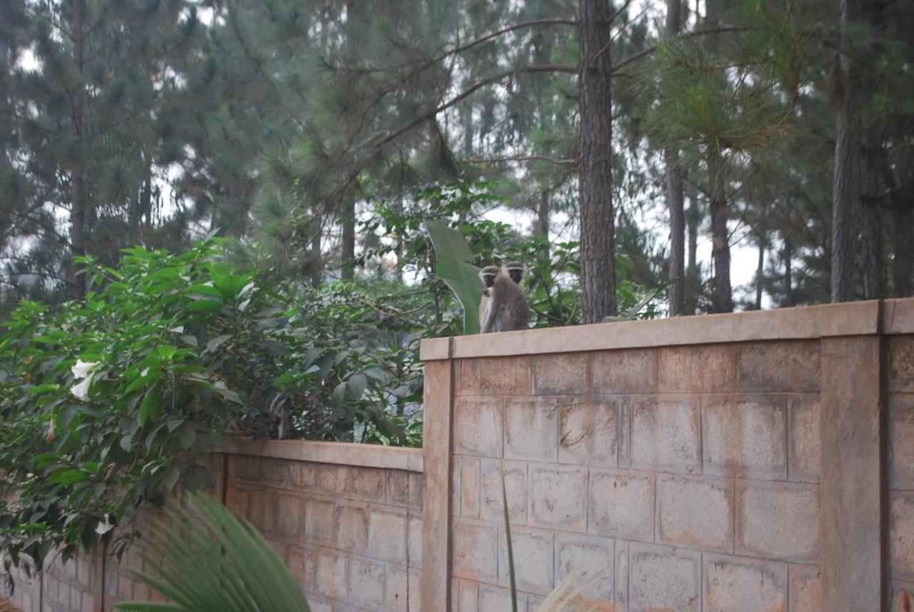 Saltek Forest Cottages Masindi ภายนอก รูปภาพ