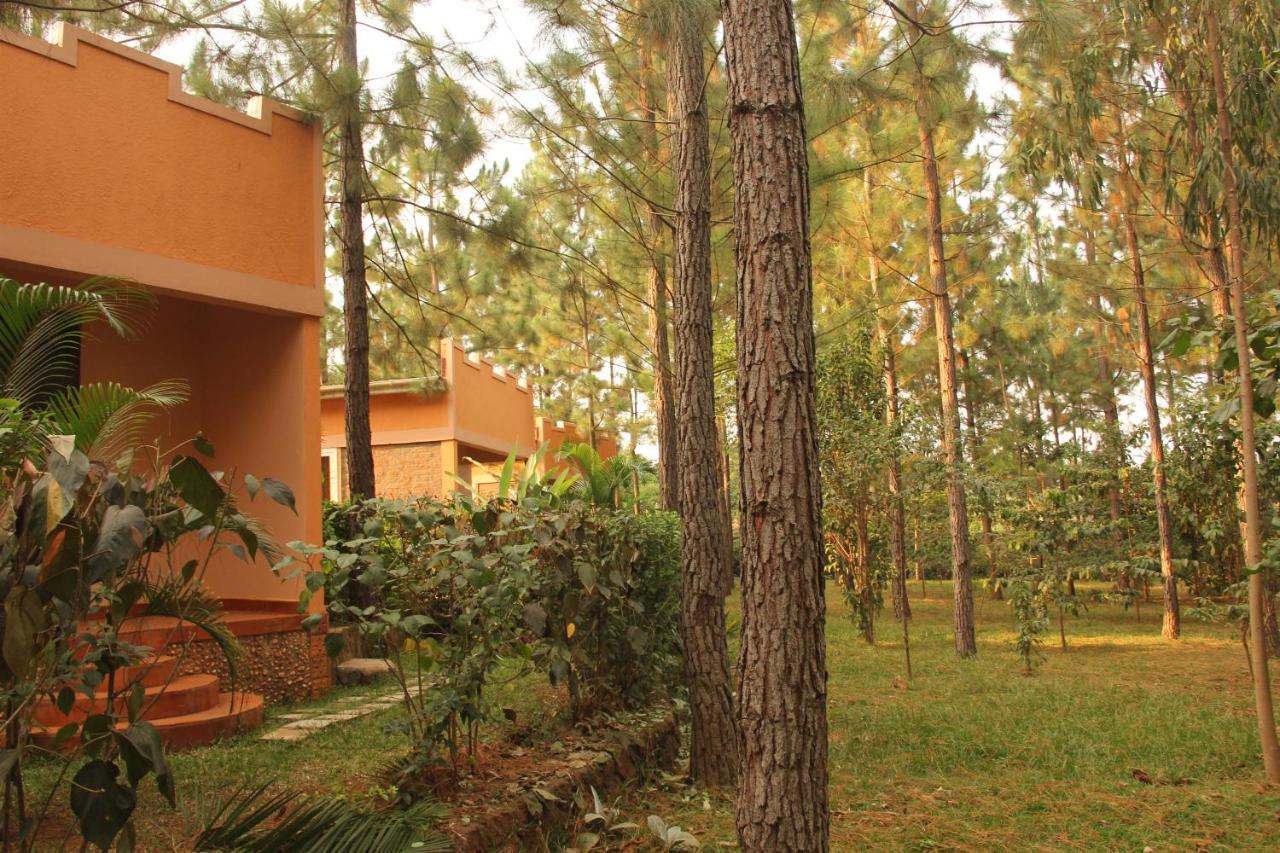 Saltek Forest Cottages Masindi ภายนอก รูปภาพ