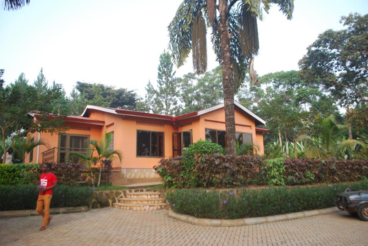 Saltek Forest Cottages Masindi ภายนอก รูปภาพ