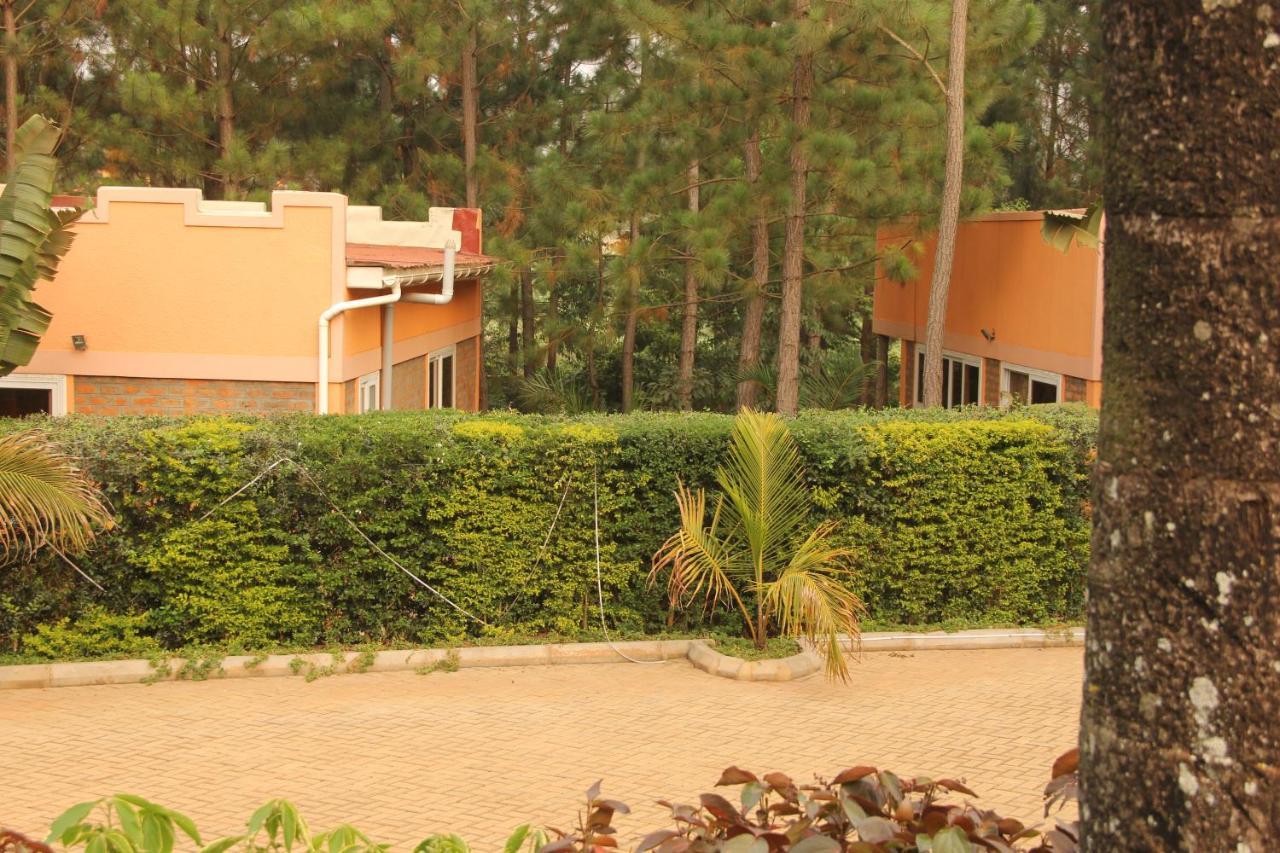 Saltek Forest Cottages Masindi ภายนอก รูปภาพ