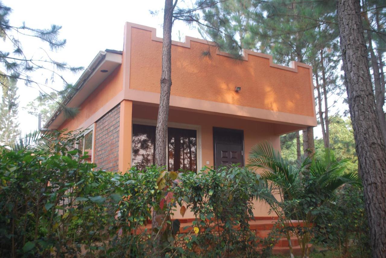 Saltek Forest Cottages Masindi ภายนอก รูปภาพ
